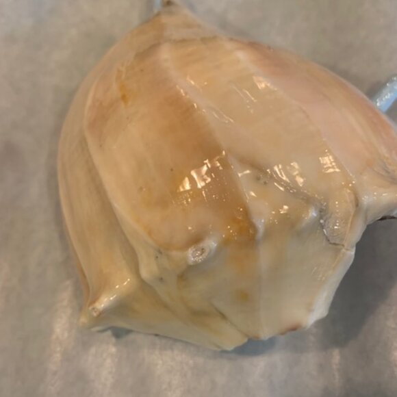 Handmade Shell Art Decor (light blue octopus) - Picture 4 of 7